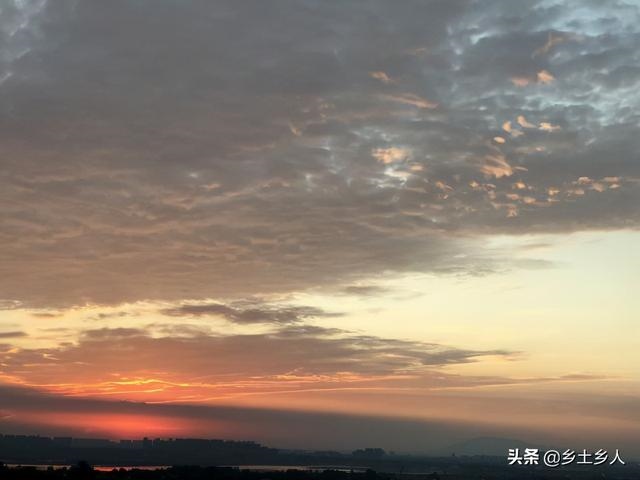 什么时候的龙更好，属龙男孩农历初几出生更好