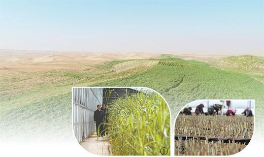 7牛配99兔一生的命运,1999年属兔多大结婚好"