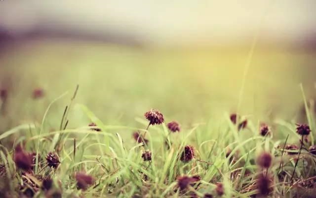 十月鼠人生运势，十月生肖鼠的人命运