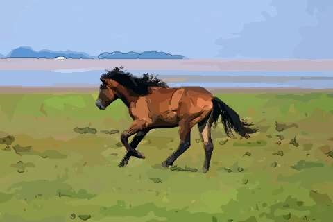 990年属马的更佳配偶，1990年马男更佳配偶是什么生肖"