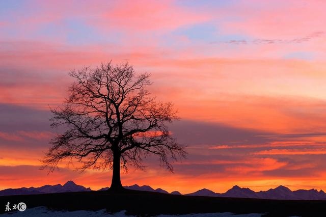 属相蛇和属相羊婚配可以吗，蛇和羊相配吗