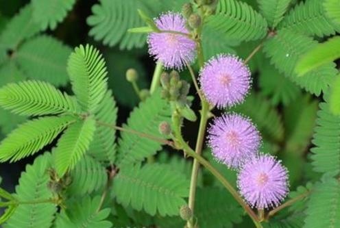 未来30年最旺的生肖，2022 年赚钱最多的生肖