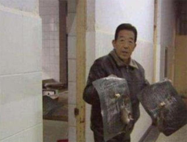 什么食物最能引诱老鼠上钩，早餐食谱大全