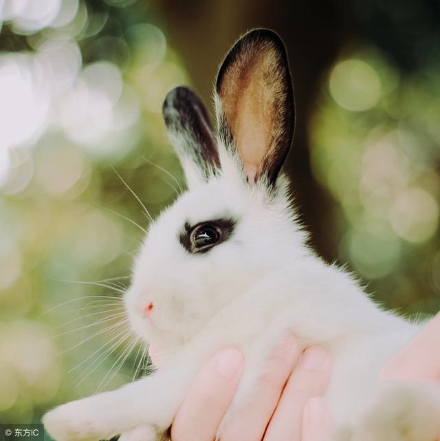 属蛇人32岁大劫女，什么生肖最旺蛇