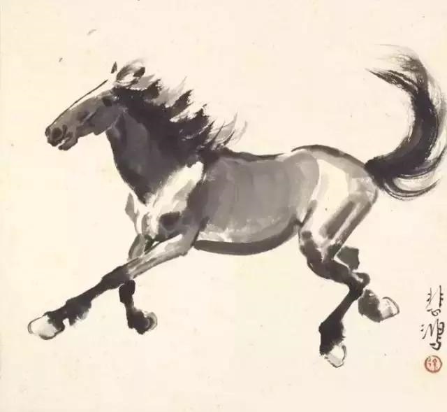 十二生肖图片动物实图，十二生肖12美女壁纸