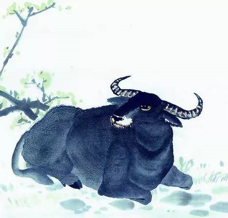 为什么属鼠的贵人是牛，鼠的更佳贵人是什么生肖