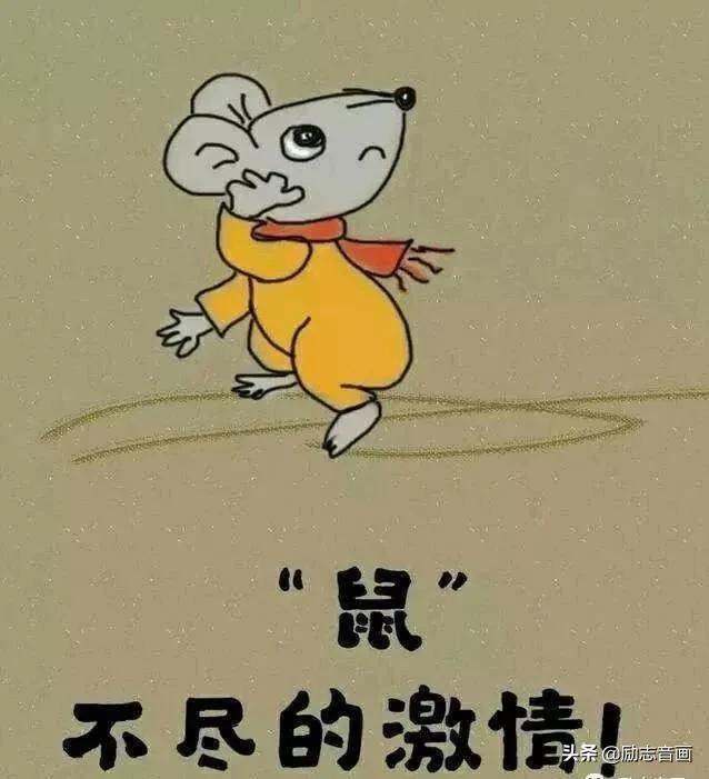 腊月鼠的命运怎么样，2022 年属鼠腊月出生好吗