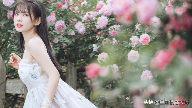 022属狗的全年运势,属狗人的一生之敌2022"