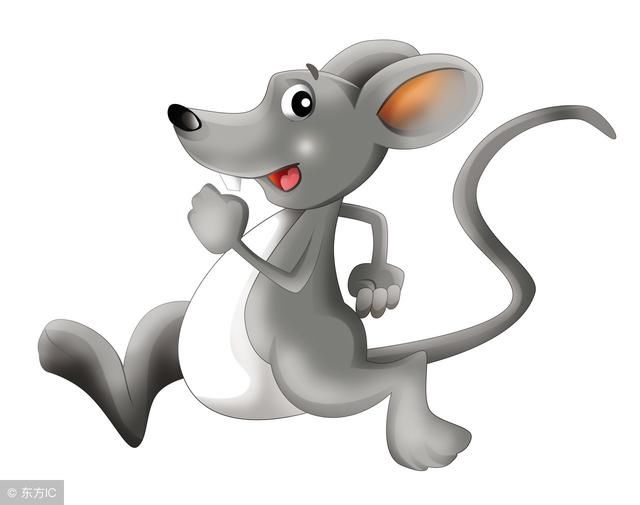 属鼠四贵克子孙是什么,1984年属鼠财运在哪一年更好