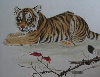 022年属虎几月出生比较好,2022年属虎的宝宝几月出生更好"