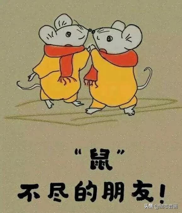 腊月鼠的命运怎么样，2022 年属鼠腊月出生好吗