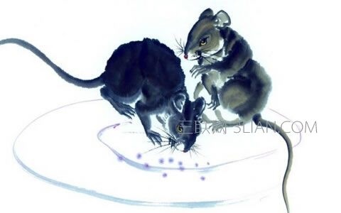 2年鼠在2022年的全年运势,我国预计在2022年实现一大批普通本科"