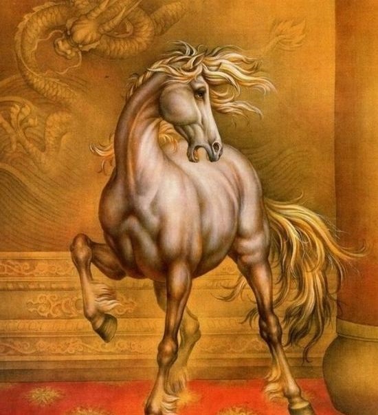 属马的多少岁了今年，2022 年牛年对属马的好不好