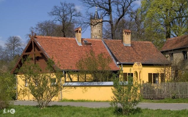 今日偏财最旺的生肖鼠,属猴40岁后有十年大运