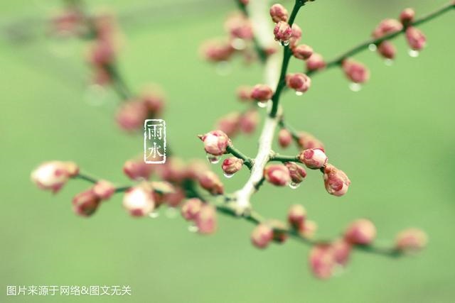 2生肖下周运势提前报,十二生肖下周一周运势"