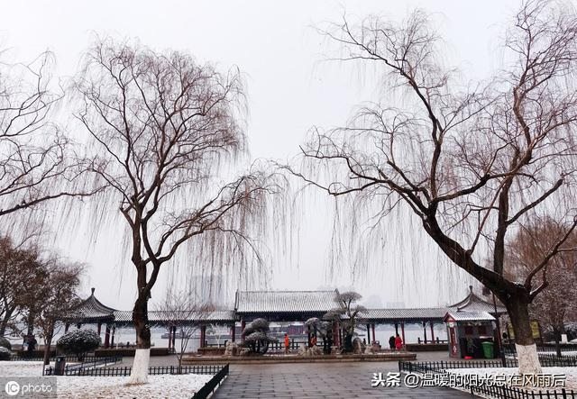 八字戊申是什么意思，戊申年生人是什么命