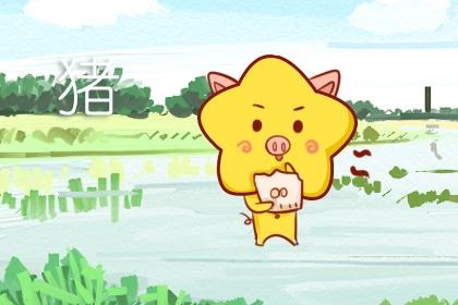 1年生肖猪六十年运气,71年生肖猪2022