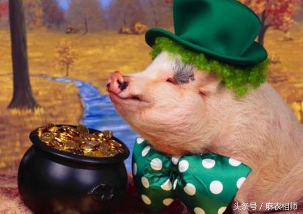 990属马多少岁会转运，1990属马的人晚婚"