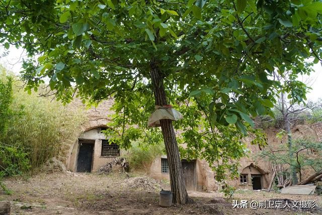 有没有赶老鼠的神器，驱赶老鼠的猫叫声