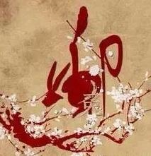 属龙人最苦命的出生日,属龙几月出生是真龙天命