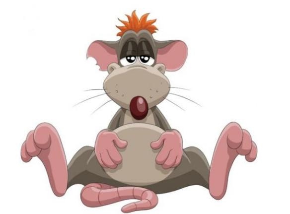 十鼠九富是什么意思，正蛇二鼠三月牛七猪八马九月羊什么意思