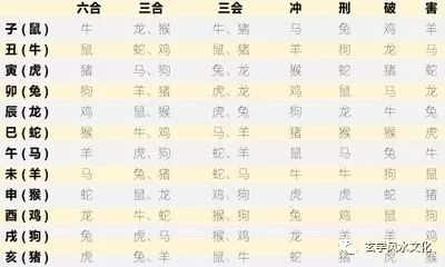 属猪今天多少年龄，属猪男和属虎女在一起财运好吗