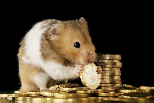 2年属鼠女后半生婚姻，72年属鼠人2022