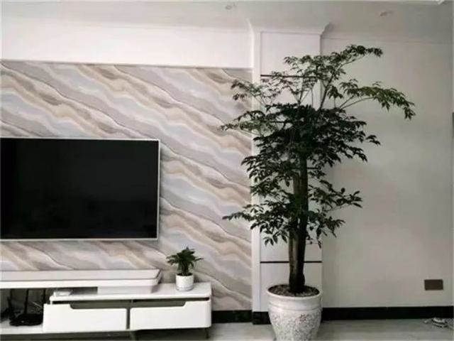 属鼠的种什么植物旺财又旺运，2022 年属鼠养什么植物