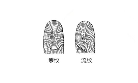 看自己属于什么命，查一下我的命运如何