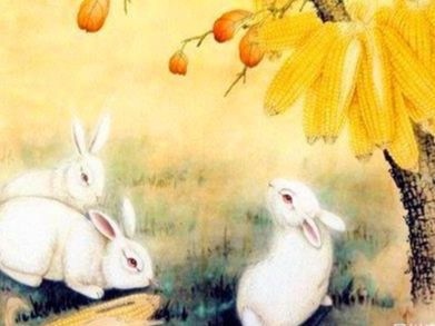 属兔男人更佳妻子，属兔女人的性格和脾气