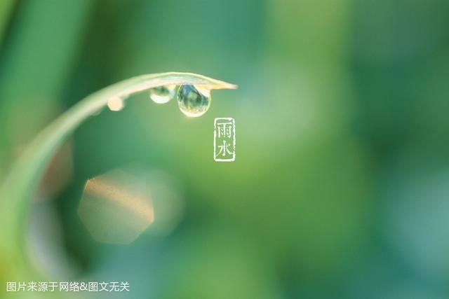 2生肖下周运势提前报,十二生肖下周一周运势"