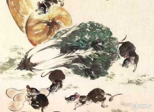 属鼠和谁不合适,属相鼠的人都有谁