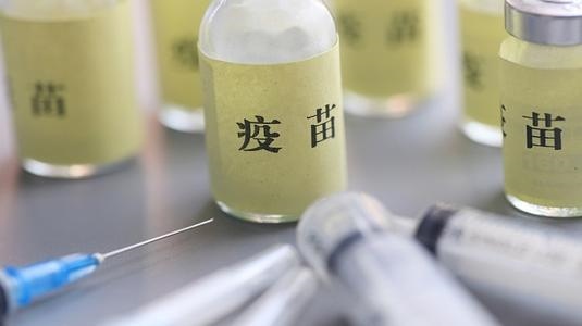 猪多大年龄打口蹄疫疫苗，猪口蹄疫更佳接种时间