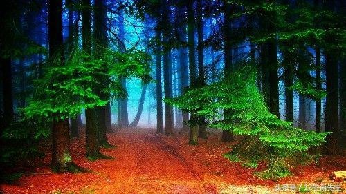 十二生肖财运天天看，2022 年生肖运势天天看