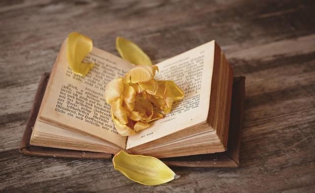 水瓶座未来5年的运势，水瓶座一生有大财运吗