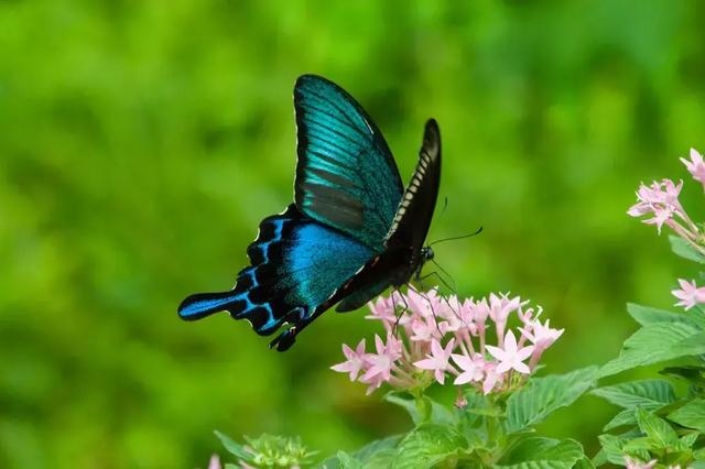免费测算自己的运势，今日财运免费测试