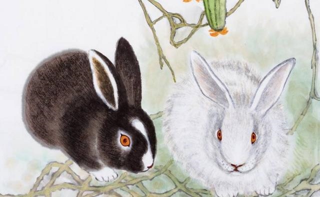 5年属兔人47岁后运程，1975属兔45岁以后运气"