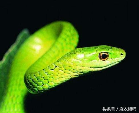 990属马多少岁会转运，1990属马的人晚婚"