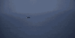 6年有什么大灾难,每次鼠年都有灾难列表"