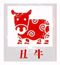 为什么1997年1月11日属鼠，2008年1月5日属什么生肖