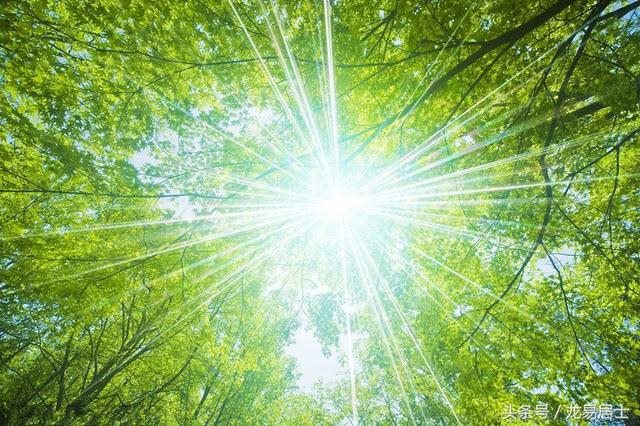 997年属牛三月的是什么命,1997年属牛姻缘在哪年"