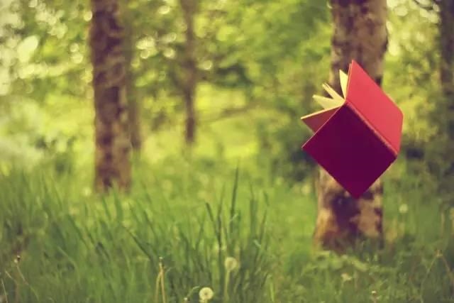 十月鼠人生运势，十月生肖鼠的人命运