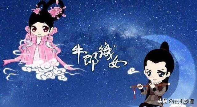 属鼠的男人适合养什么花，属鼠的人养金钱树好不好