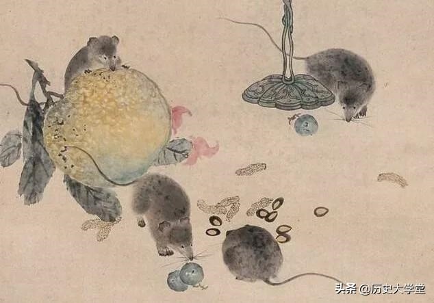 属鼠的特性与特征，属兔的女性格和脾气缺点和优点