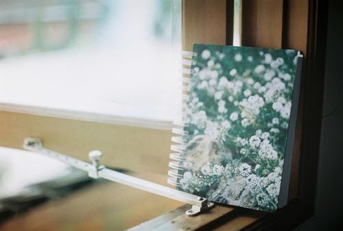 郑博士十二生肖运程，郑博士十二生肖下周运势查询