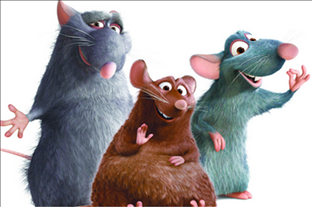 虎和牛属相合不合八字,属虎和属牛的在事业上好不好