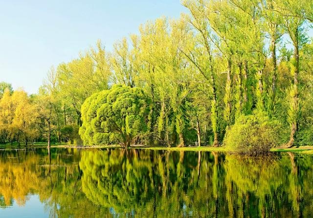 022年过得最开心的星座女，2022事业运势翻红的星座"