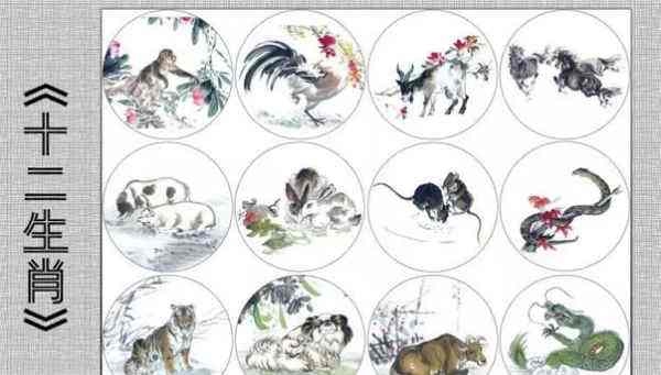 属马的忌什么属相，属马的找个什么生肖