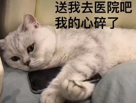 023世界巨星紫微星,豆瓣大师预言紫微星"