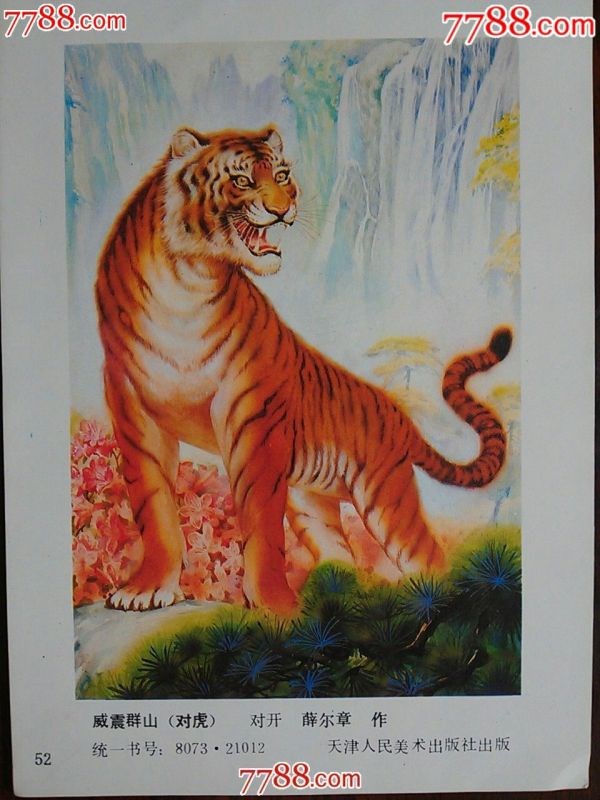 6年鼠和86年虎配吗，1996年男属鼠的人婚配"